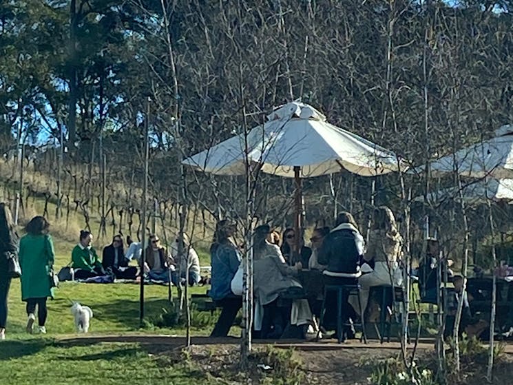 Vino Rosso Tours, Mittagong