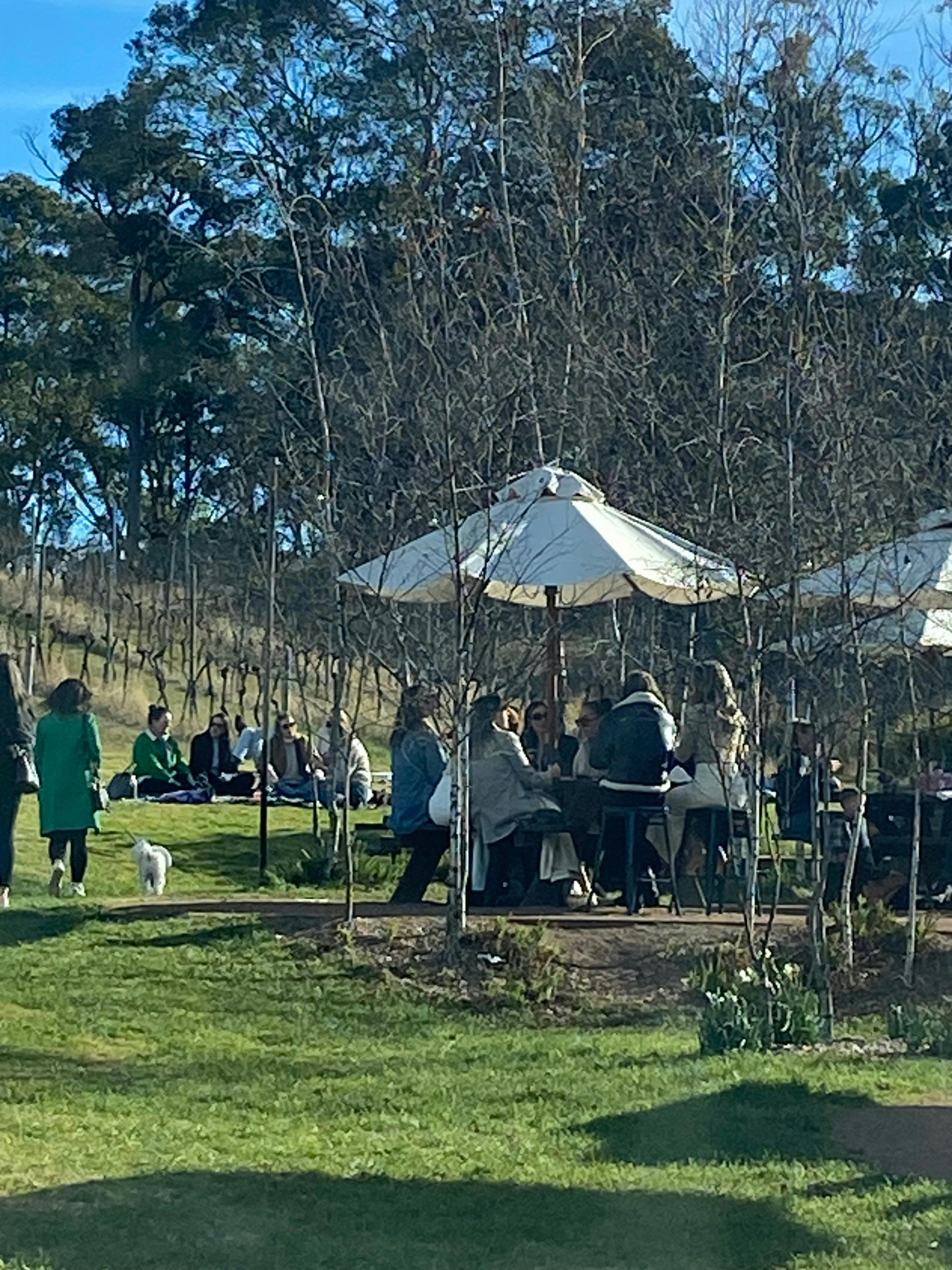 Vino Rosso Tours, Mittagong