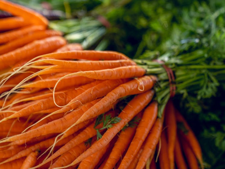 Farm Fresh Carrots by the bunch