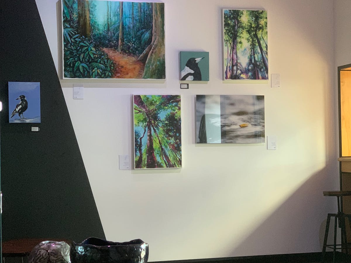 Cedar Gallery Broken River art gallery Eungella Local art timber tours experience Cedar Gallery Broken River art gallery Eungella Local art timber tours experience