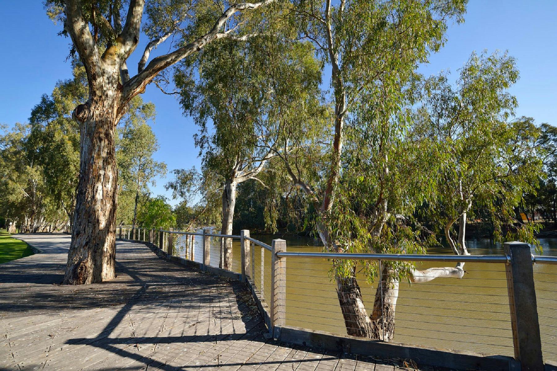 Views of the Murray River from the Boardwalk