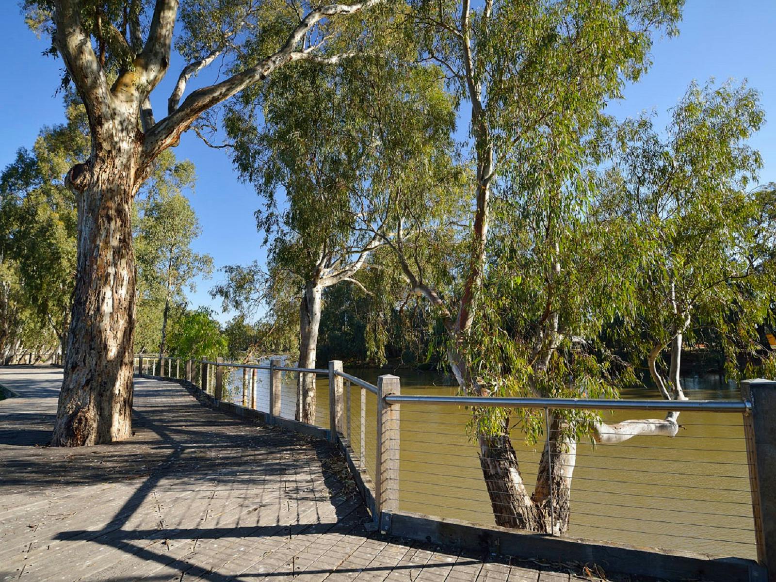 Views of the Murray River from the Boardwalk