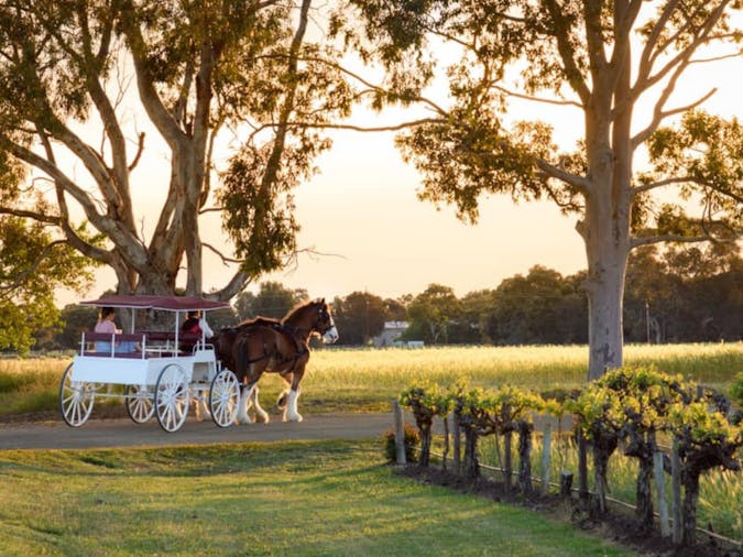 Carriage of Occasion