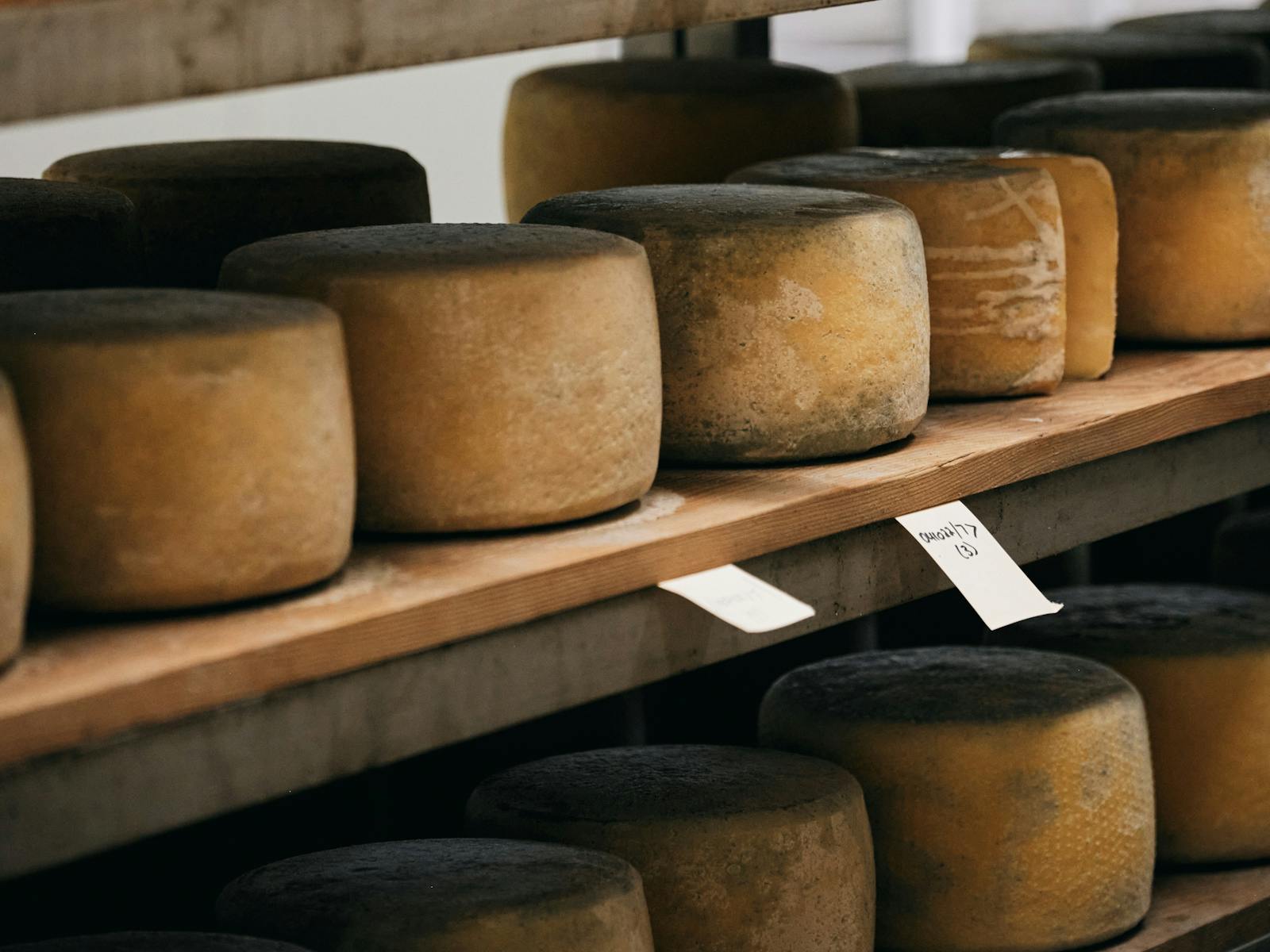 A selection of cheese on a shelf.