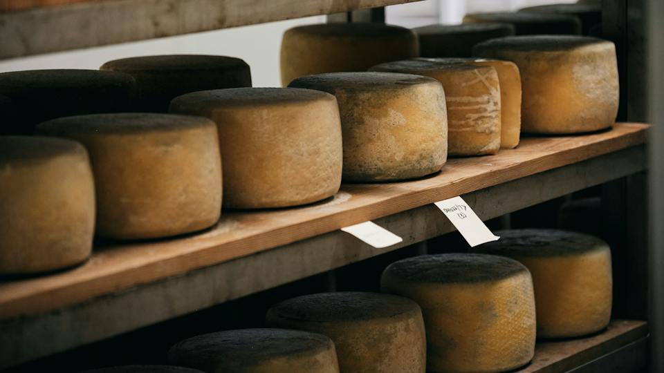 Duck River Meadows Robotic Dairy &  Cheese Tour photo