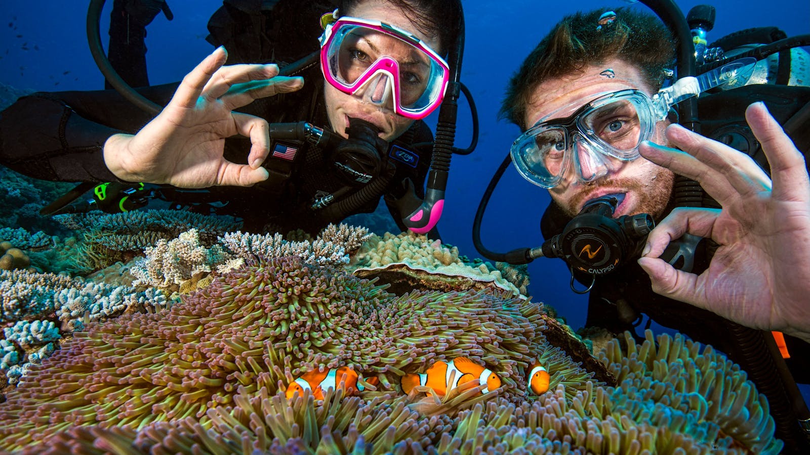 ro Dive Cairns diving Great Barrier Reef