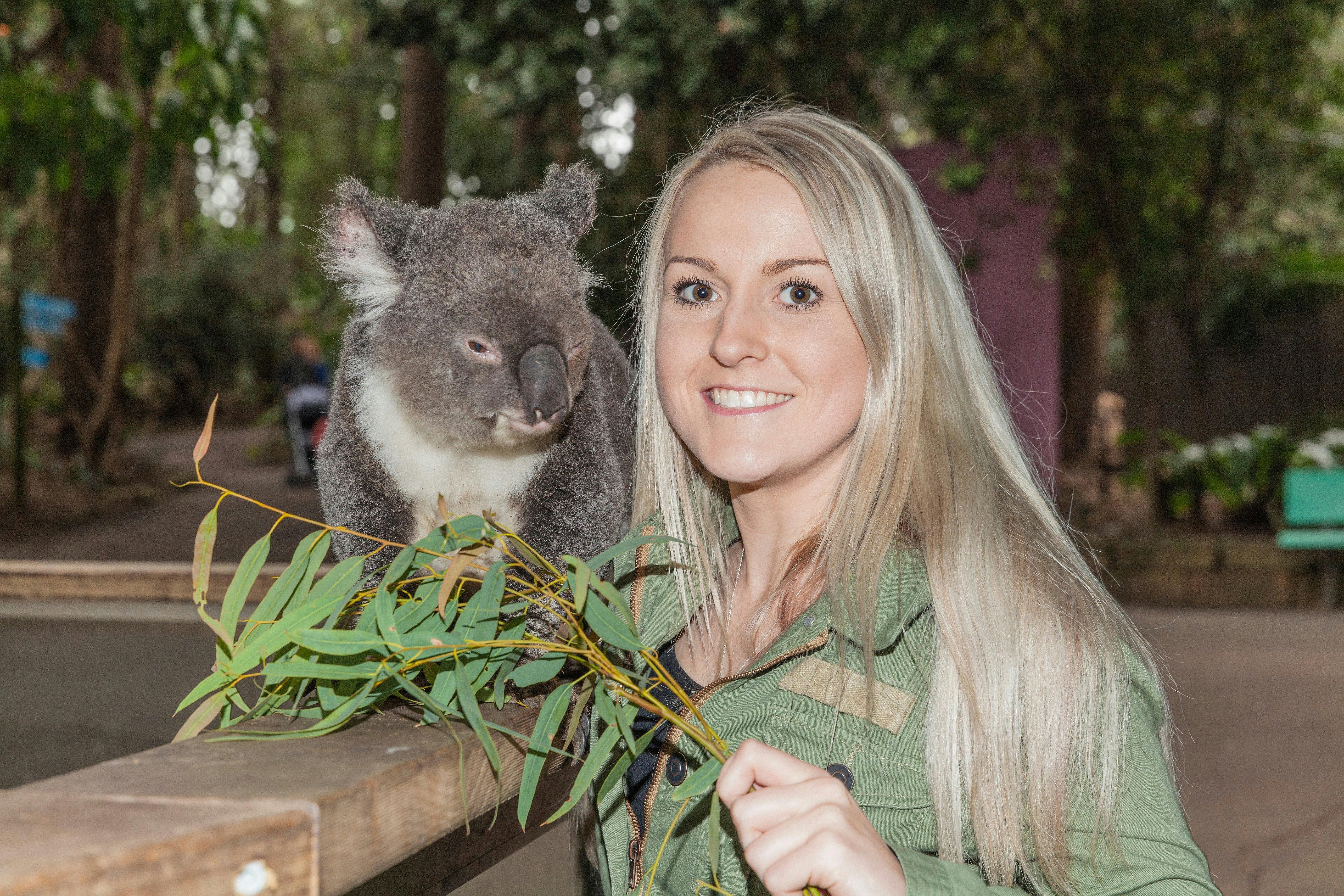 Koala Park Sanctuary