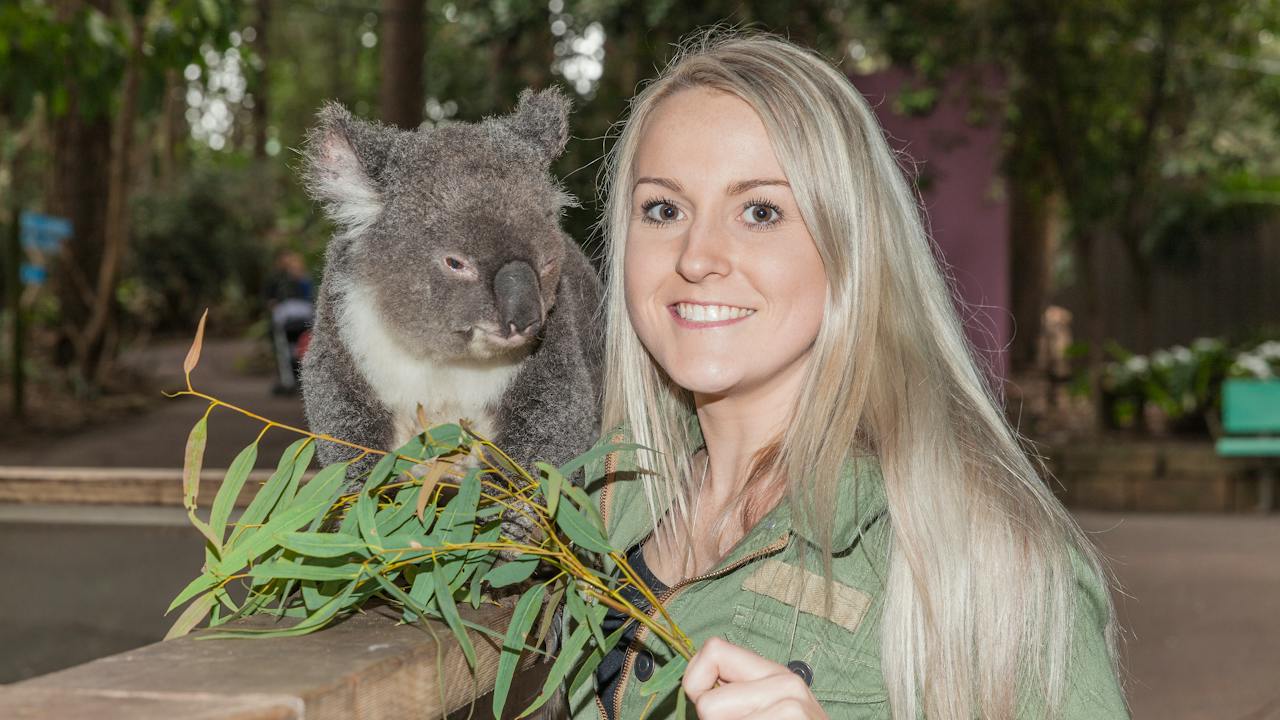 Koala Presentations