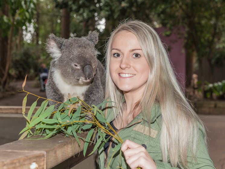 Yes you can pat our koalas ther is four  Koala presentations daily