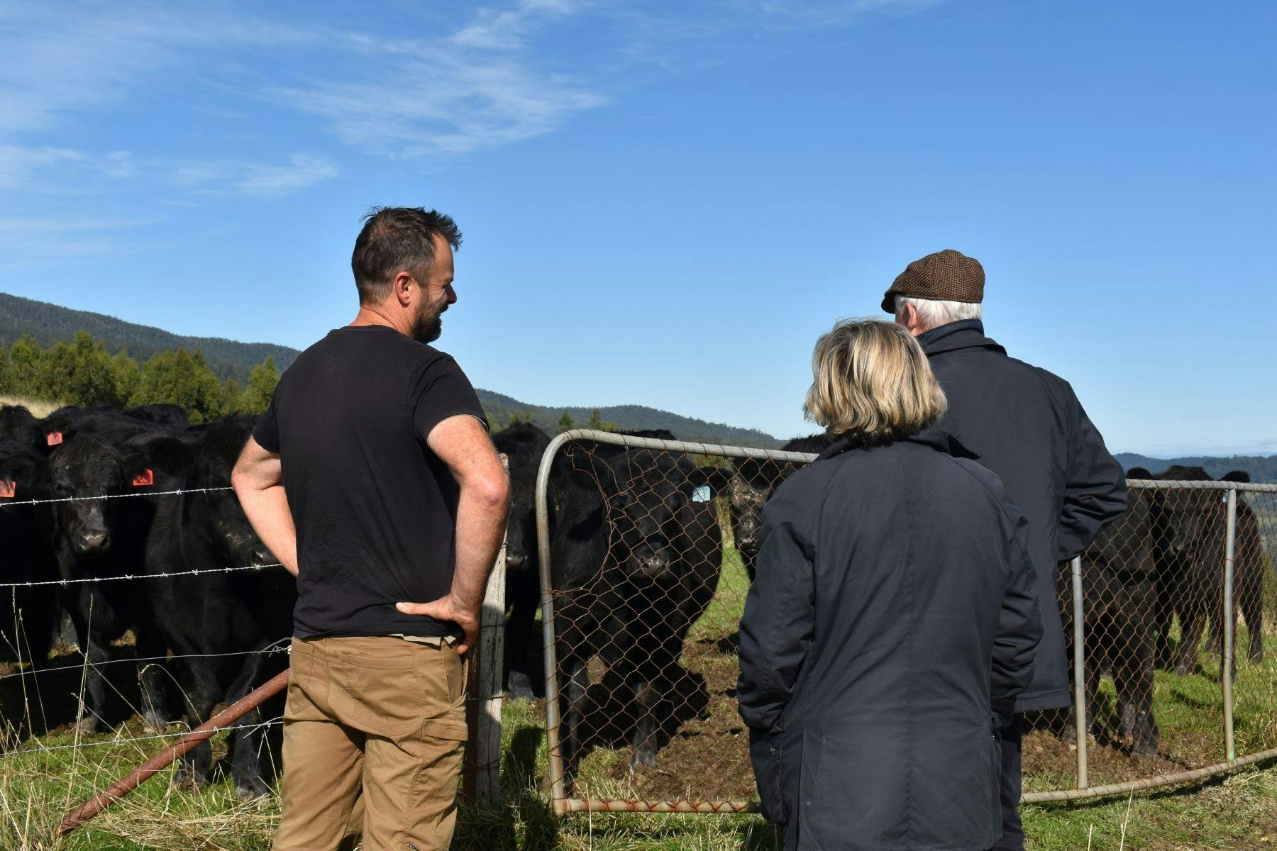 Farmer and older couple standing at farm gate with Angus cows waiting at fence