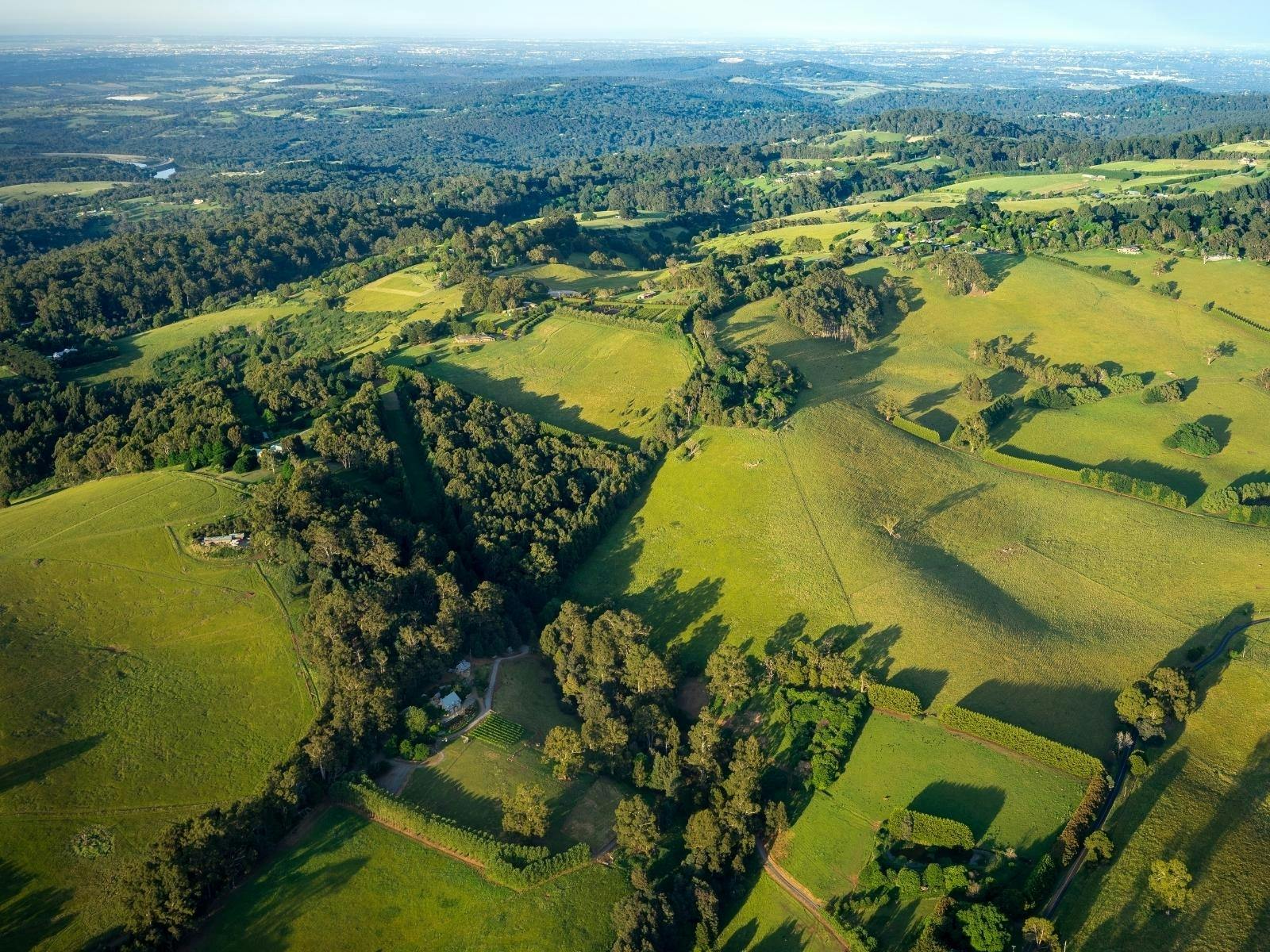 View of Yarra Valley from a Helicopter