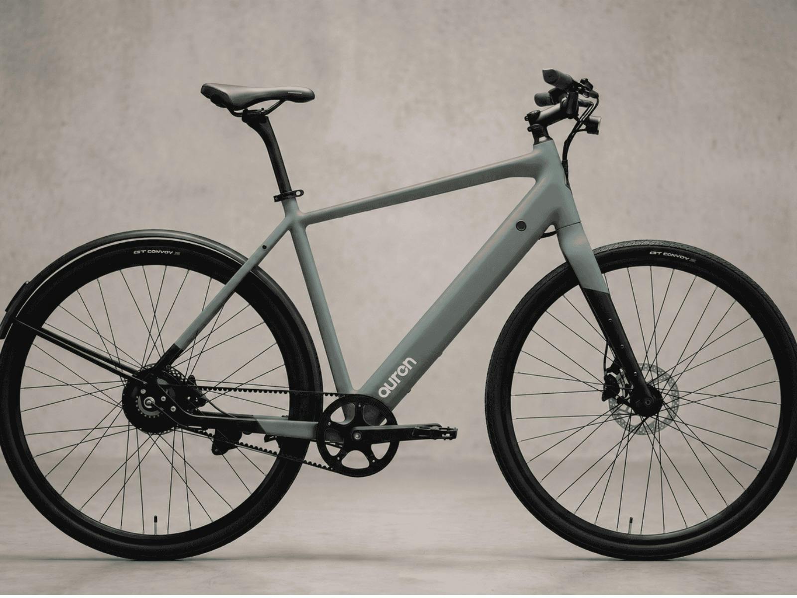 Premium Sage eBike Bike club