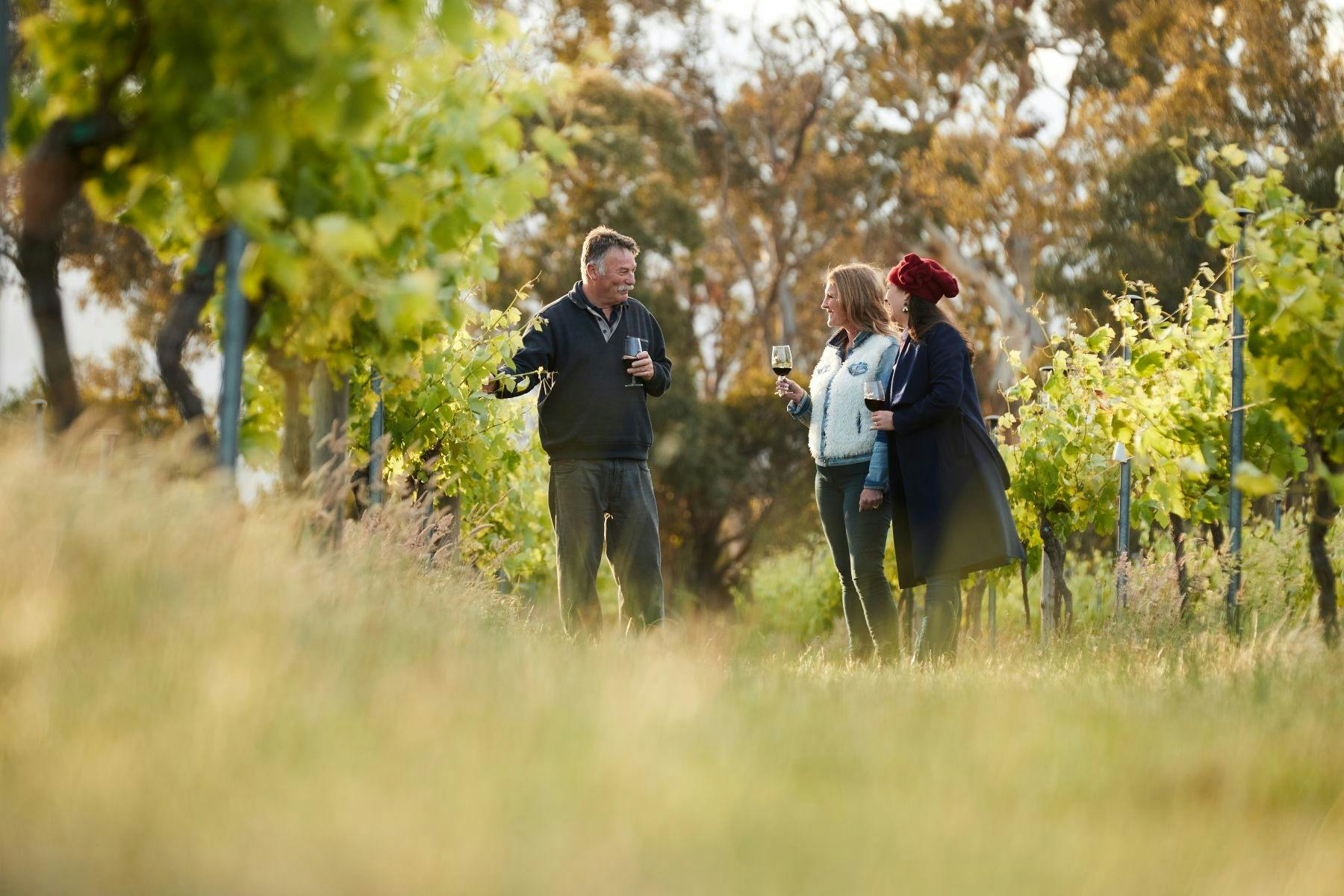 Clayfield Wines