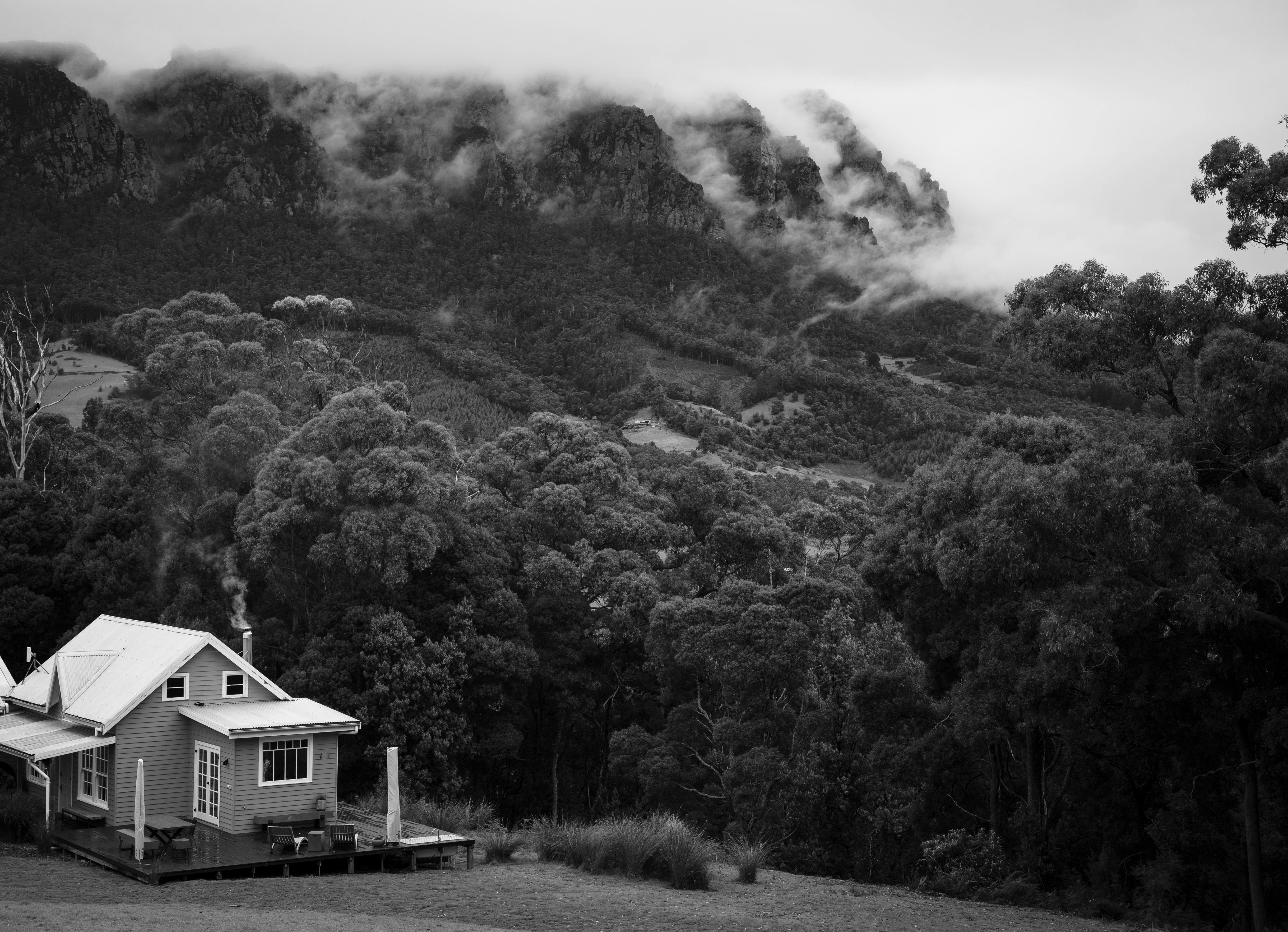 A cabin nestled on the tree line with a dark mountain covered in mist in the background