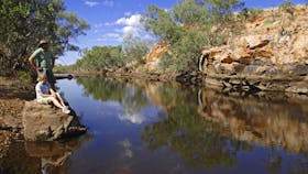 Davenport Ranges