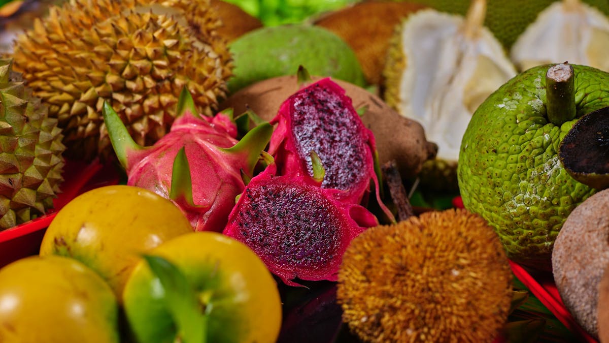 Close up of exotic fruit at Cape Trib Farm