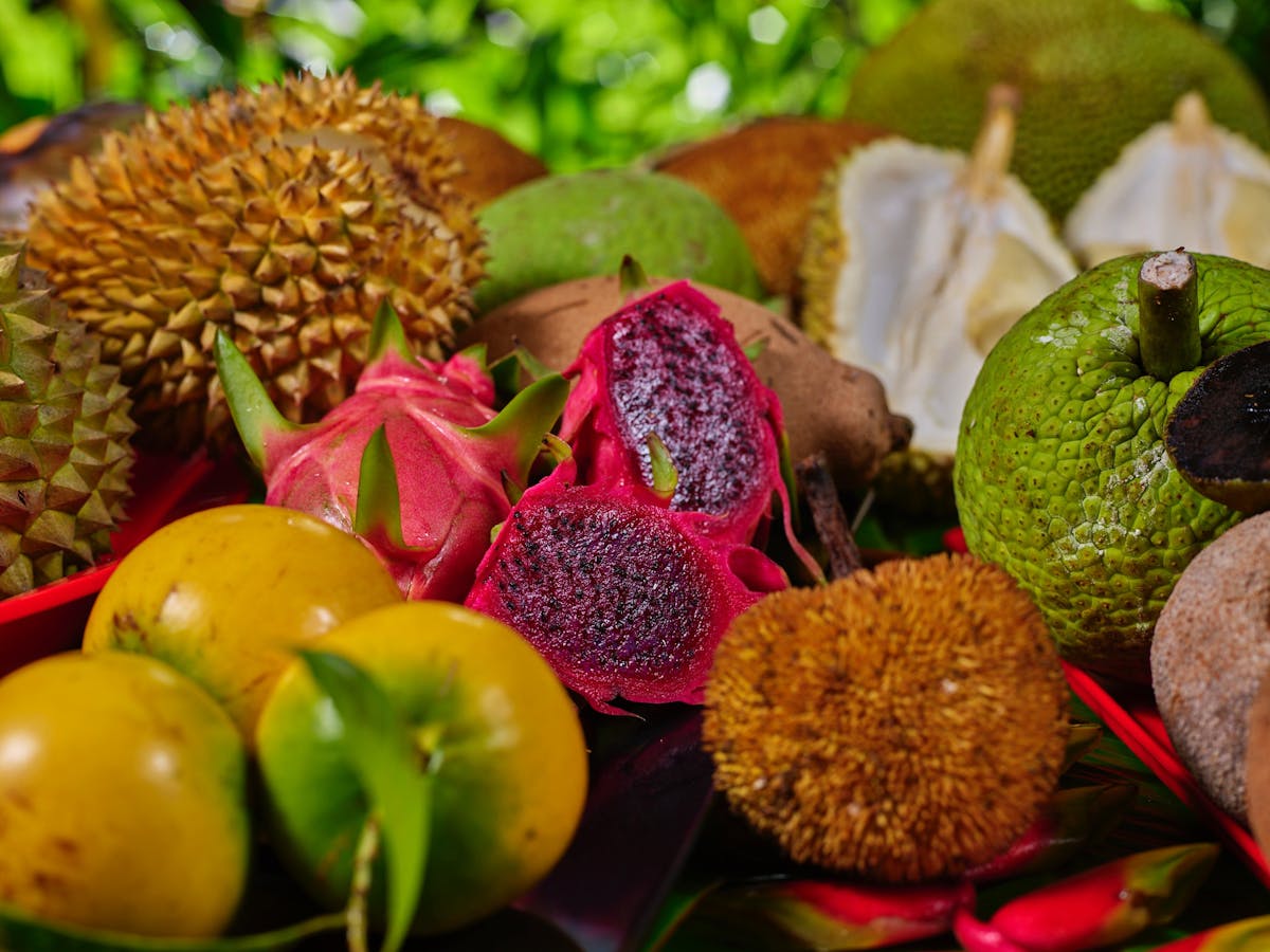 Close up of exotic fruit at Cape Trib Farm