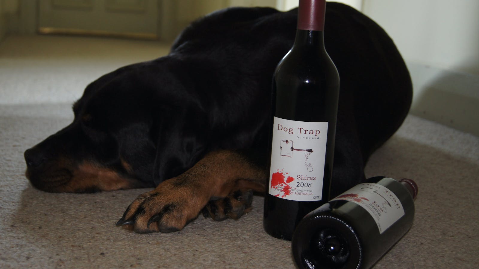 Dog Trap Vineyard