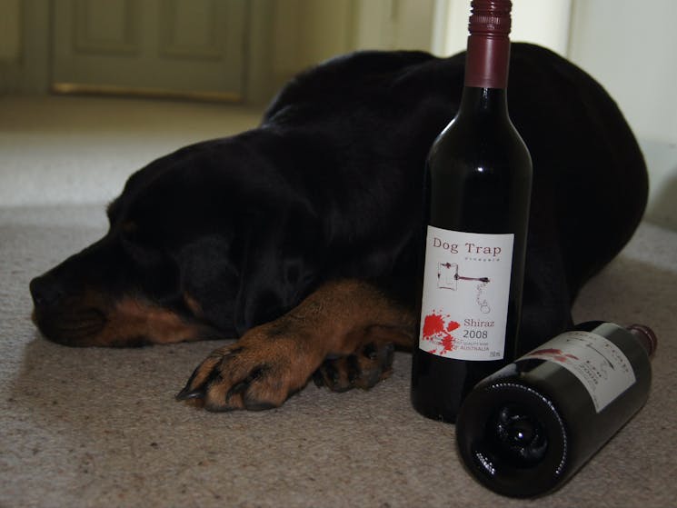 Dog Trap's wine and their dog