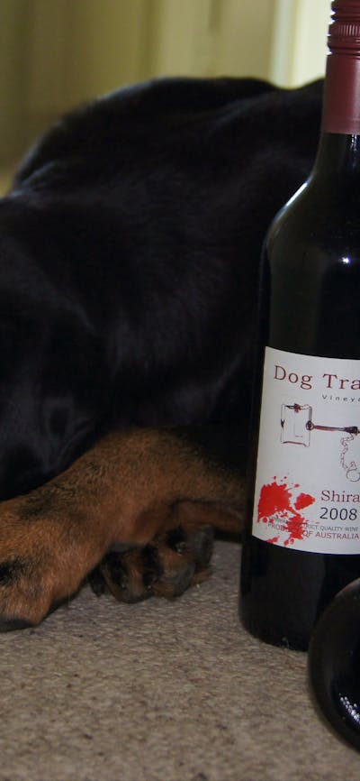 Dog Trap's wine and their dog
