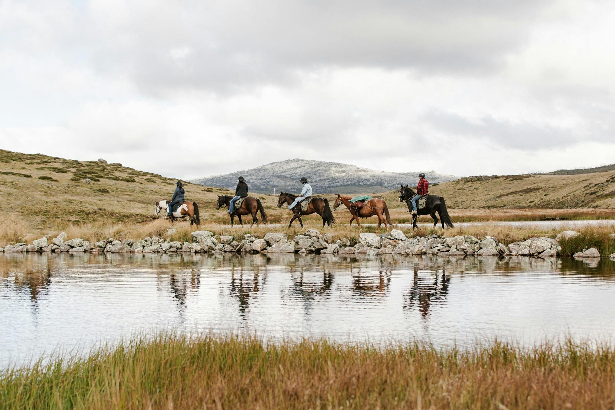 Bogong Horseback Adventures