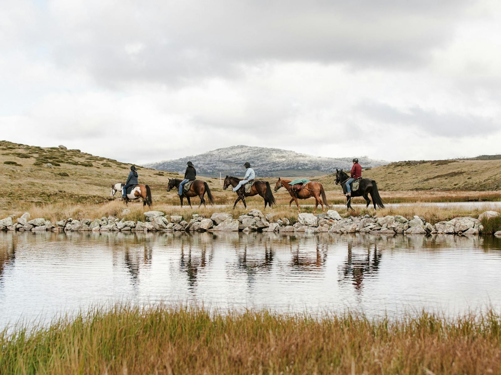 Bogong Horseback Adventures
