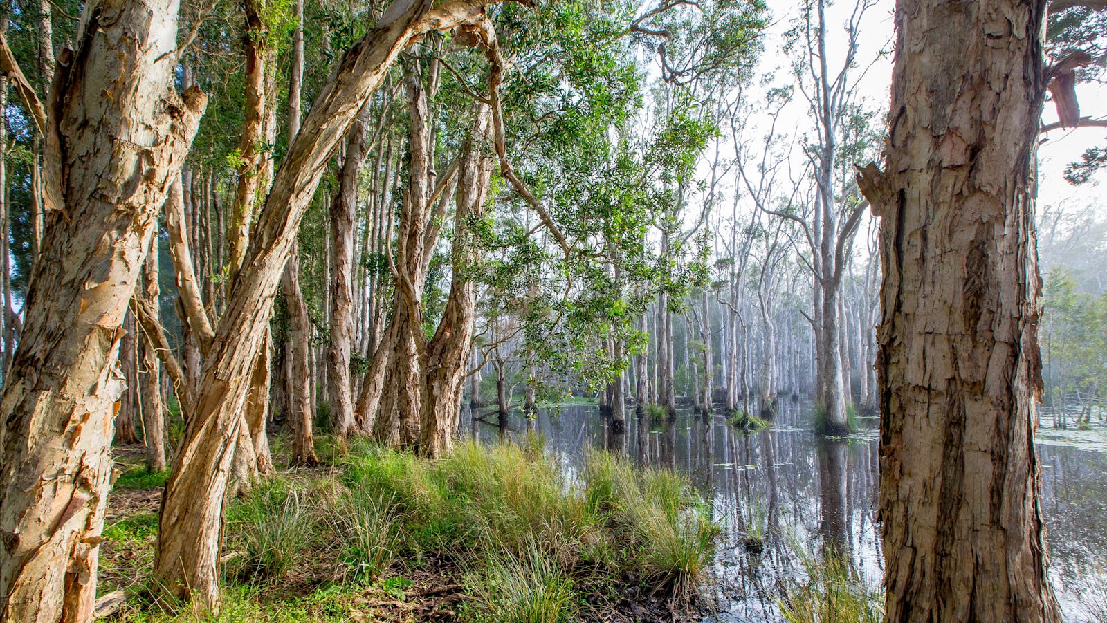 Kooloonbung Creek Nature Reserve and Historic Cemetery