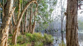 Kooloonbung Creek Nature Reserve and Historic Cemetery