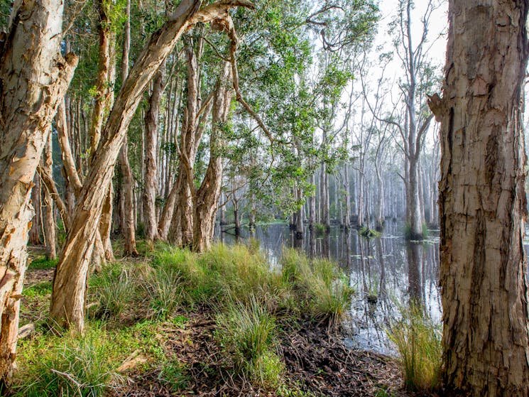 Kooloonbung Creek