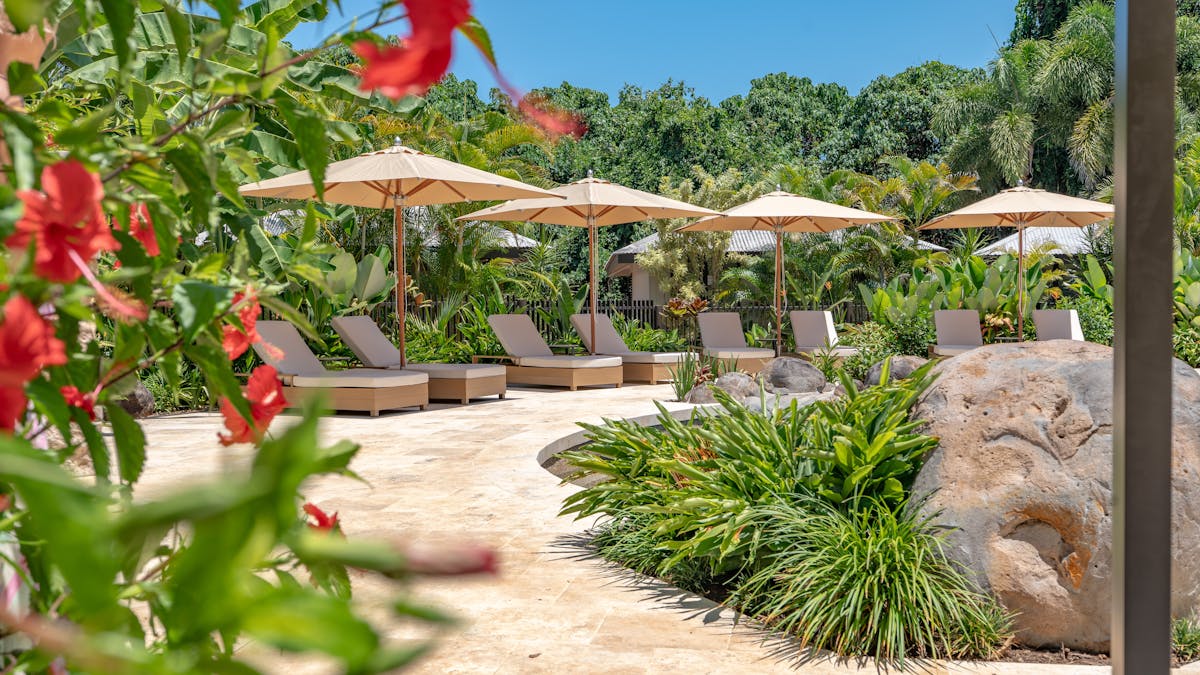 Nala Resort Pool Surround with Sunlounges, large umbrellas and tropical gardens