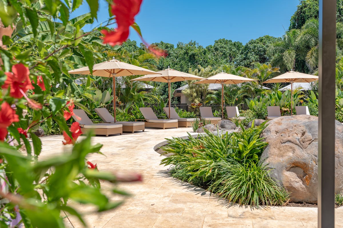 Nala Resort Pool Surround with Sunlounges, large umbrellas and tropical gardens