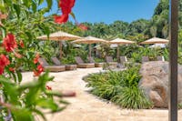 Nala Resort Pool Surround with Sunlounges, large umbrellas and tropical gardens