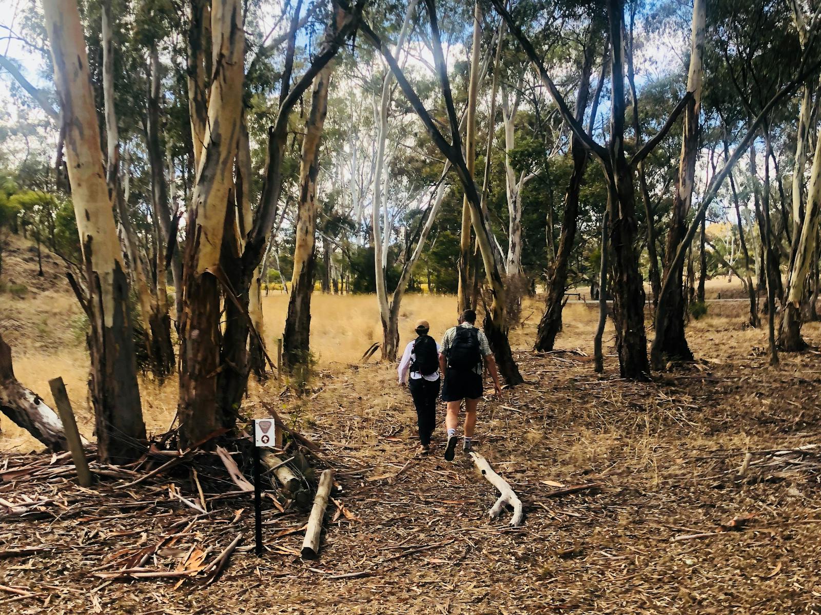 Image for Clare Valley Wine & Wilderness Trail Guided Walks