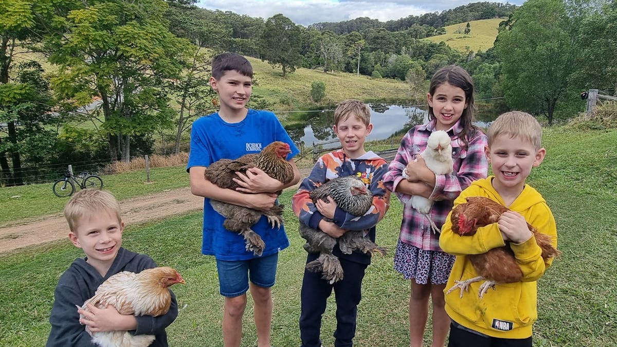 Hinterland Hideaway Farmstay Wilsons Pocket