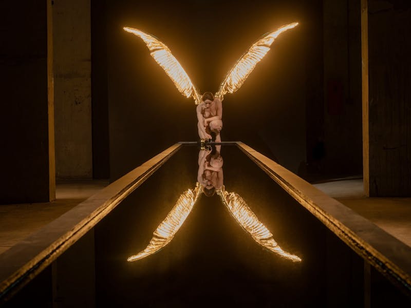 Image for Sam Jinks || Mortal Reflections