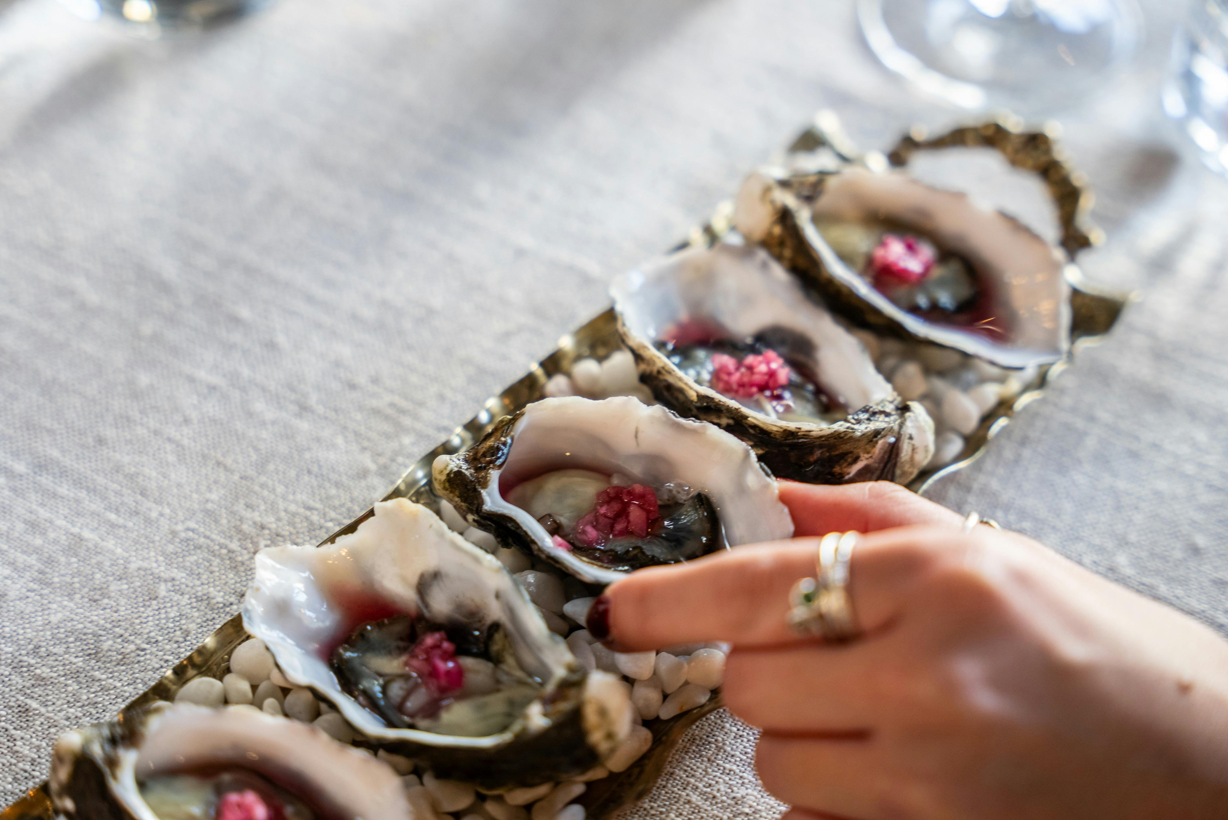 Oysters