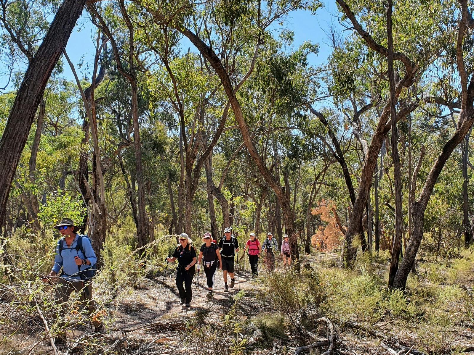 Walking the Goldfields Track with Hedonistic Hiking