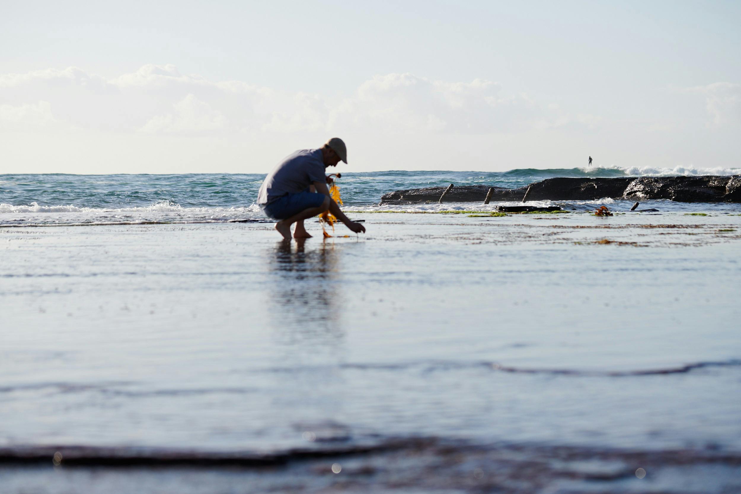 walking on a beach to collect seaweeds