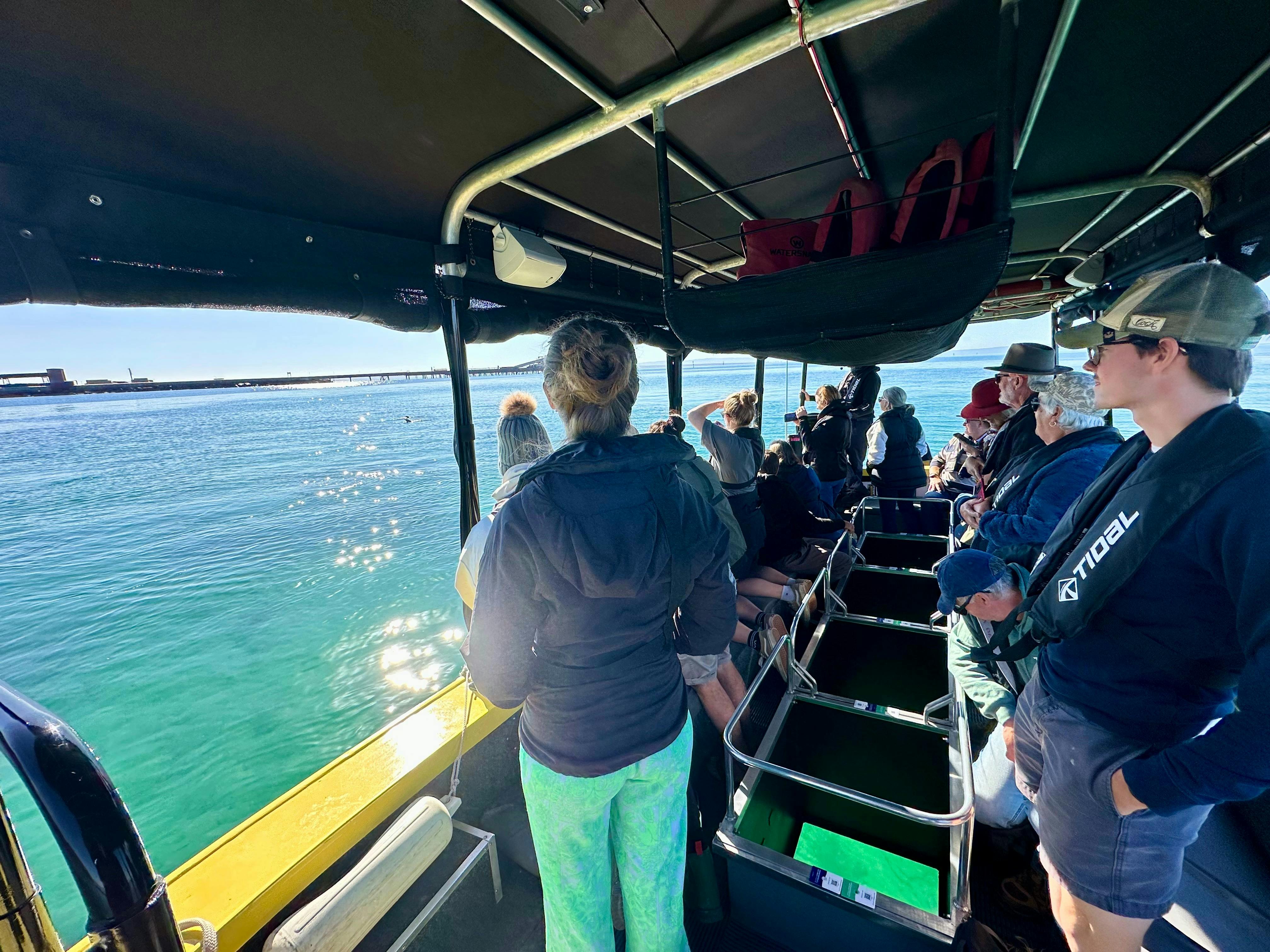 Ultimate Glass Bottom Boat Tour