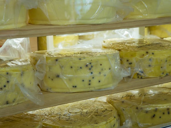 Cheese on display at Stanthorpe Cheese