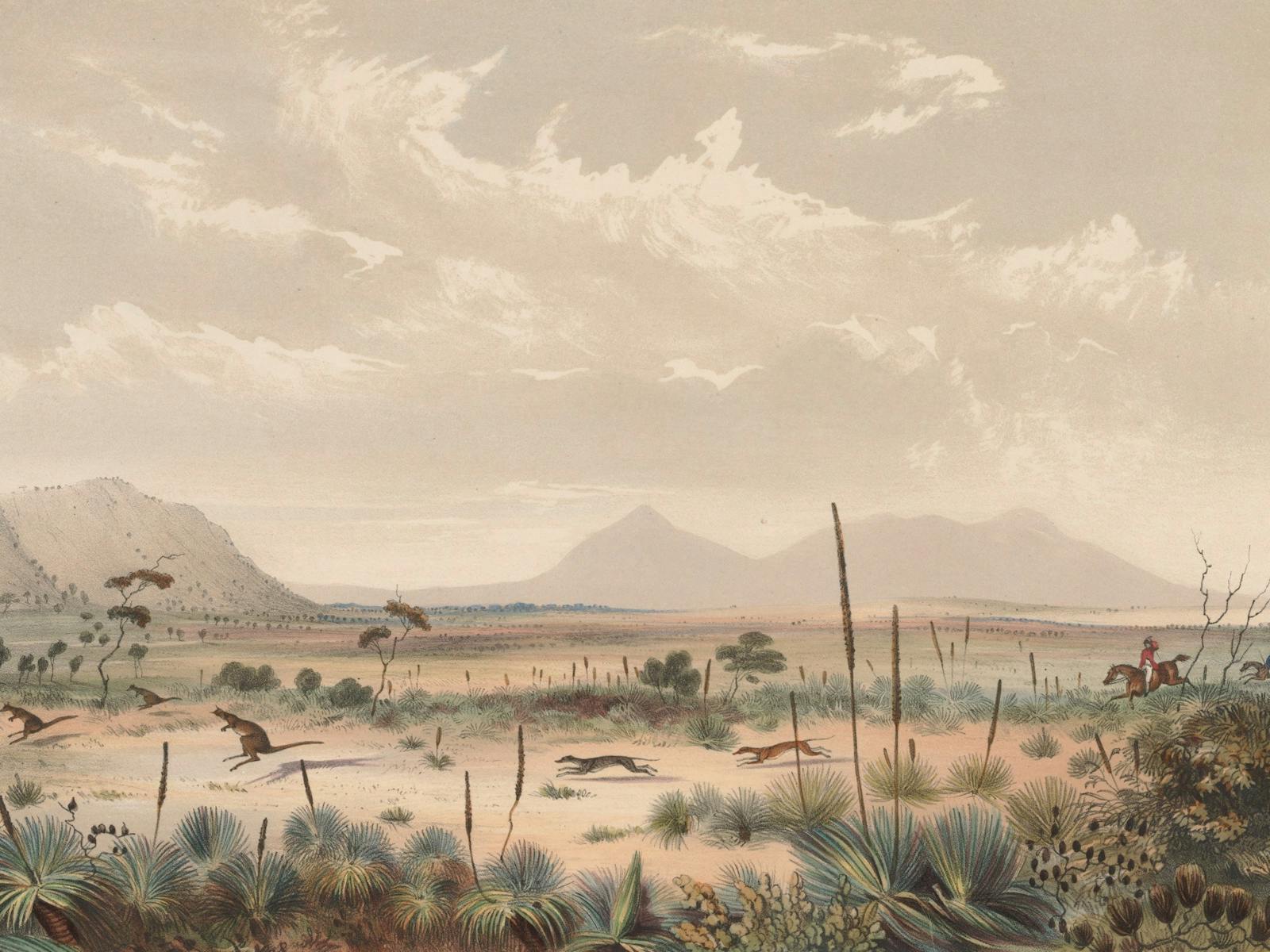 Image for Illustrating the Antipodes: George French Angas in Australia and New Zealand 1844-1845