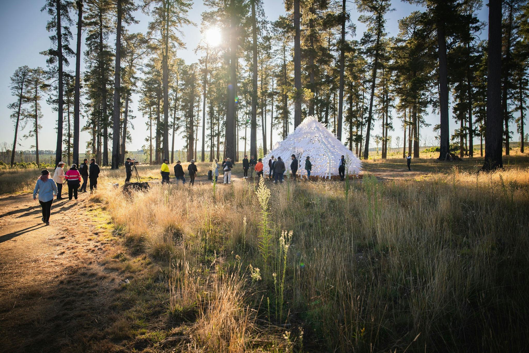 Shiver House V4 sits within the forest at Sugar Pines, Bago State Forest