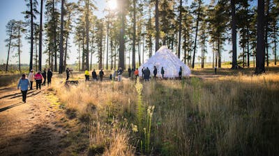Shiver House V4 sits within the forest at Sugar Pines, Bago State Forest