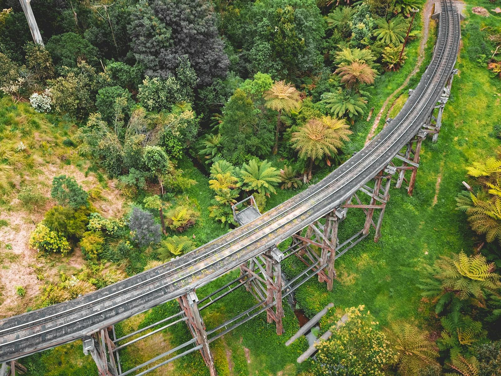 Aerial shot of the trestle train track through the Dandenong Ranges