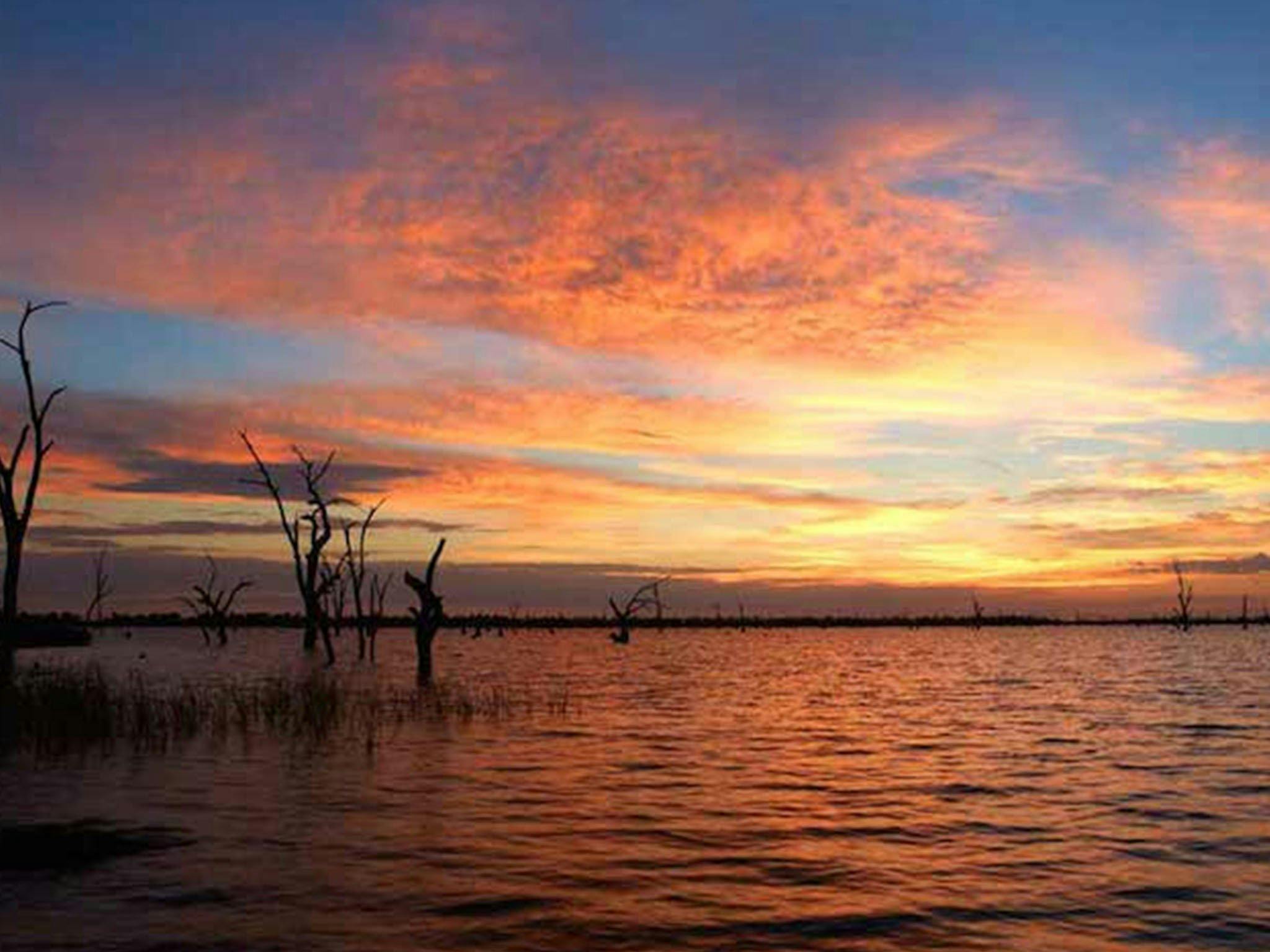 NRMA 야라웡가 물왈라 홀리데이 파크