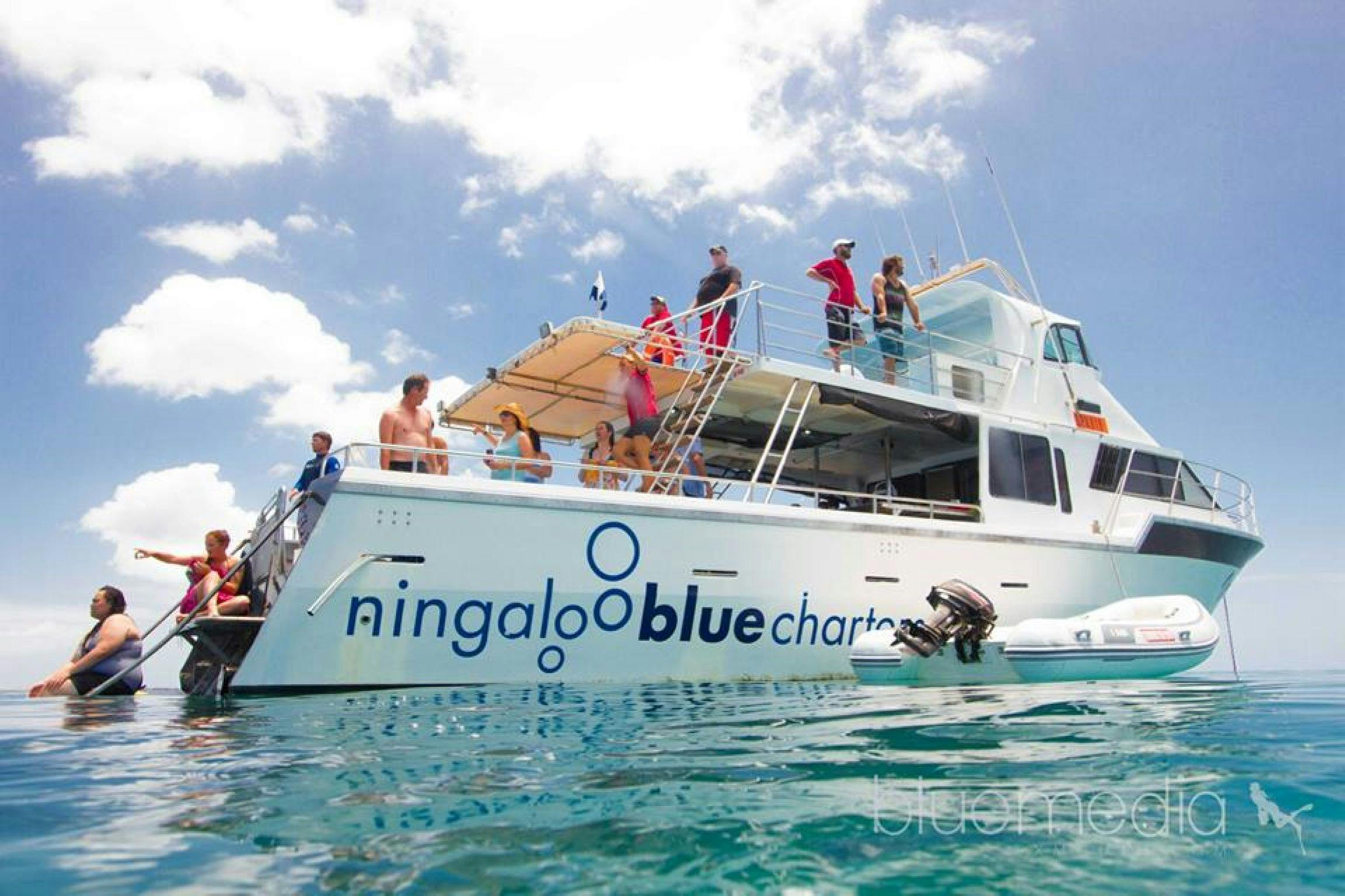 ningalooblue