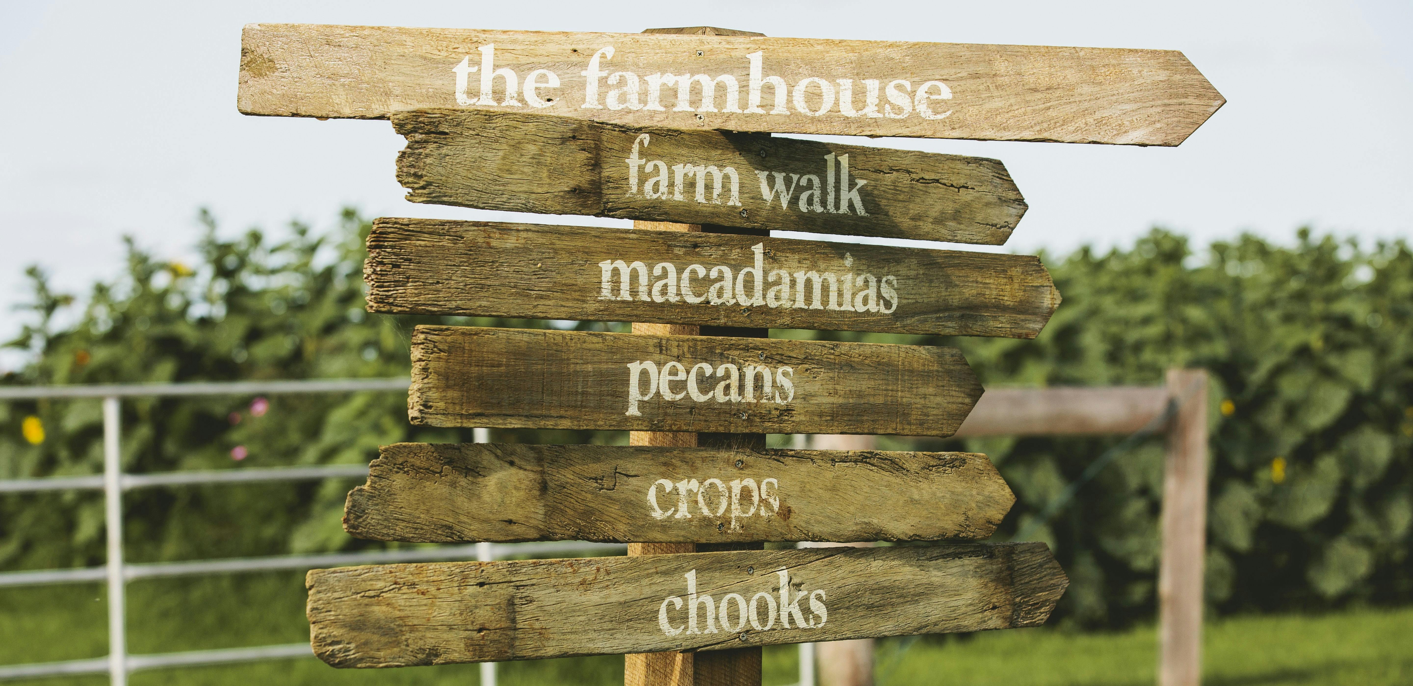 The Farm, Byron Bay