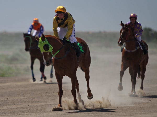 Bedourie Races
