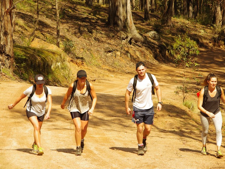 The team grinding up the hill on The Six Foot Track