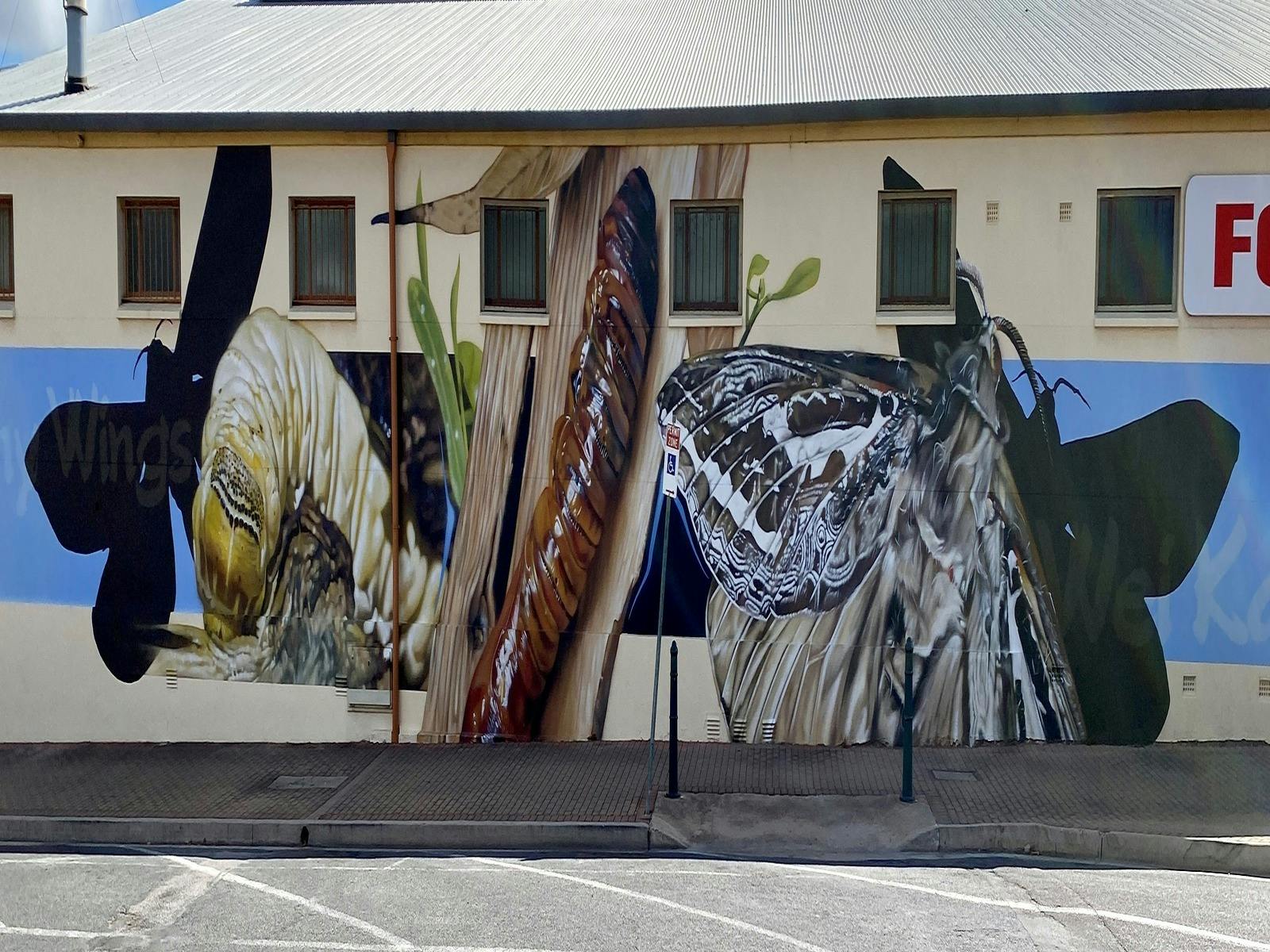 'Rainmoth Lifecycle'